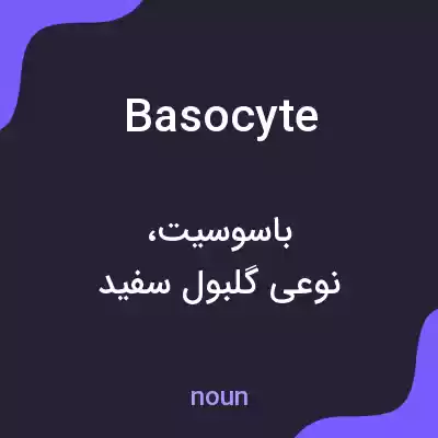 معنی basocyte به فارسی معنی basocyte به فارسی