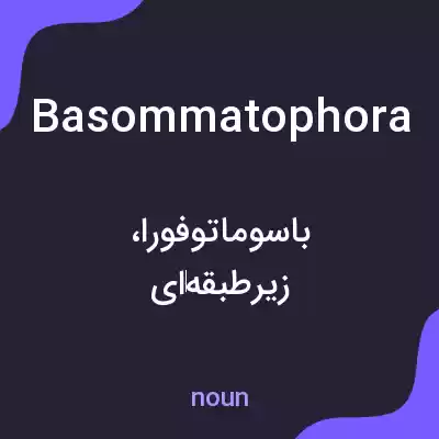 معنی basommatophora به فارسی معنی basommatophora به فارسی
