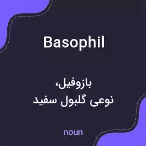 معنی basophil به فارسی معنی basophil به فارسی