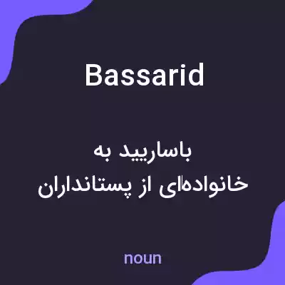 معنی bassarid به فارسی