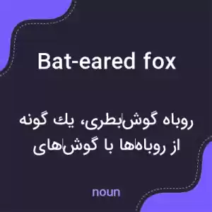 معنی bat-eared fox به فارسی معنی bat-eared fox به فارسی