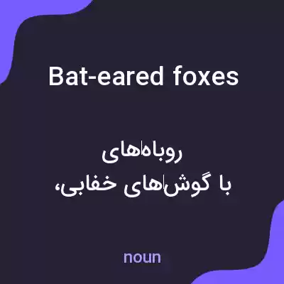 معنی bat-eared foxes به فارسی معنی bat-eared foxes به فارسی