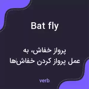 معنی bat fly به فارسی معنی bat fly به فارسی