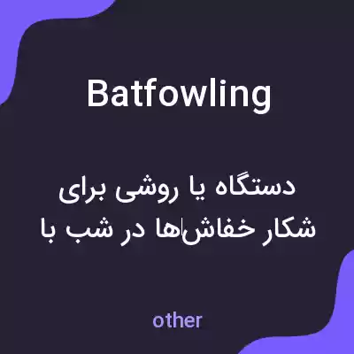 معنی batfowling به فارسی معنی batfowling به فارسی