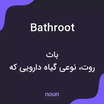 معنی bathroot به فارسی