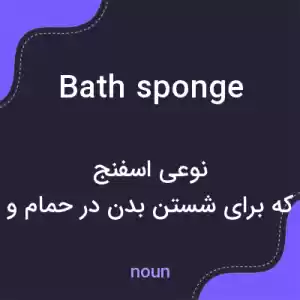 معنی bath sponge به فارسی