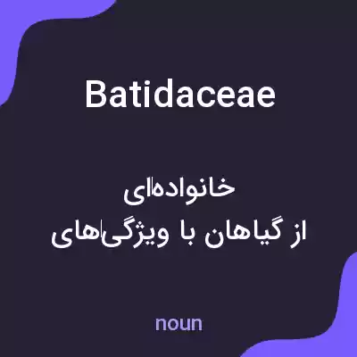 معنی batidaceae به فارسی معنی batidaceae به فارسی