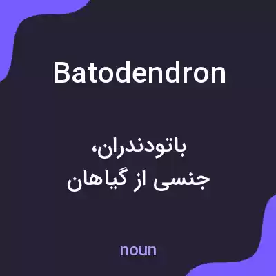 معنی batodendron به فارسی معنی batodendron به فارسی