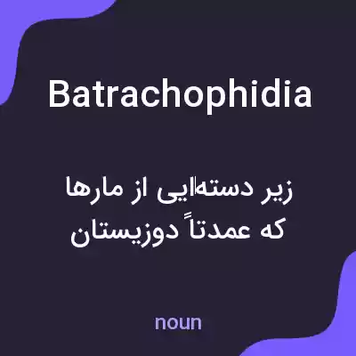 معنی batrachophidia به فارسی معنی batrachophidia به فارسی
