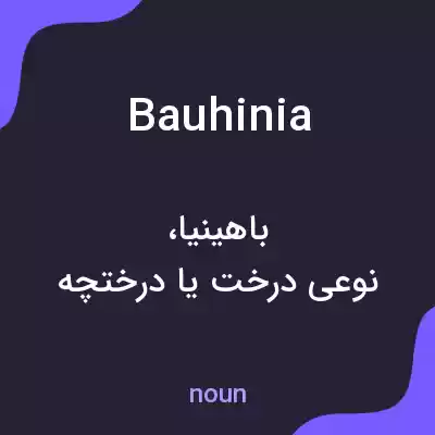 معنی bauhinia به فارسی معنی bauhinia به فارسی