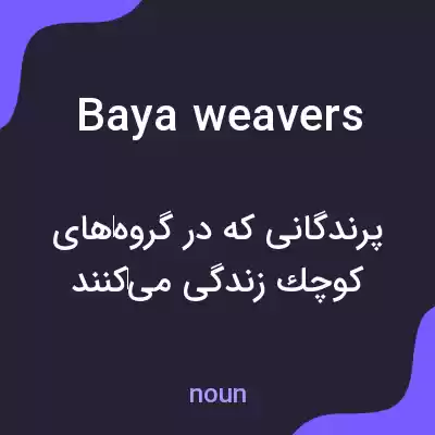 معنی baya weavers به فارسی معنی baya weavers به فارسی