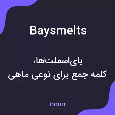 معنی baysmelts به فارسی