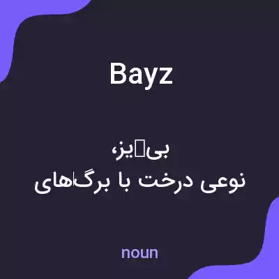 معنی bayz به فارسی معنی bayz به فارسی