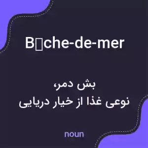 معنی bêche-de-mer به فارسی معنی bêche-de-mer به فارسی