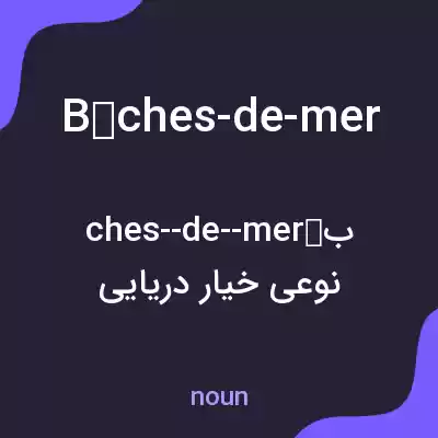 معنی bêches-de-mer به فارسی