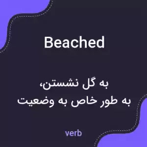معنی beached به فارسی معنی beached به فارسی