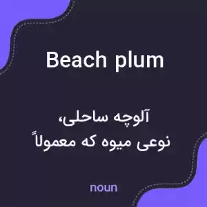 معنی beach plum به فارسی معنی beach plum به فارسی