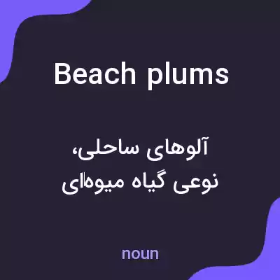 معنی beach plums به فارسی معنی beach plums به فارسی