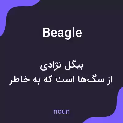 معنی beagle به فارسی معنی beagle به فارسی
