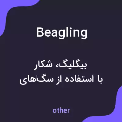 معنی beagling به فارسی معنی beagling به فارسی