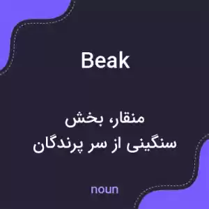 معنی beak به فارسی معنی beak به فارسی