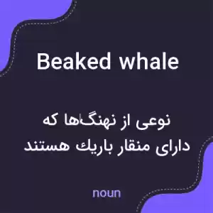 معنی beaked whale به فارسی معنی beaked whale به فارسی