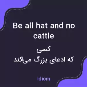 معنی be all hat and no cattle به فارسی معنی be all hat and no cattle به فارسی