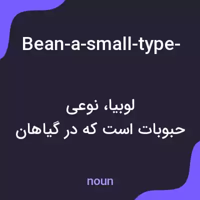 معنی bean-a-small-type-of-food-from-a-plant-that-you-cook-and-eat به فارسی معنی bean-a-small-type-of-food-from-a-plant-that-you-cook-and-eat به فارسی