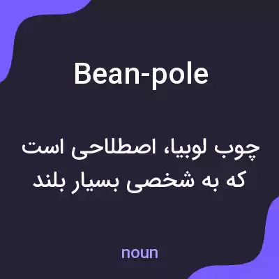 معنی bean-pole به فارسی معنی bean-pole به فارسی