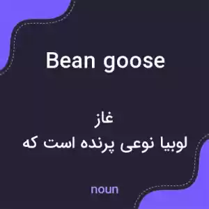 معنی bean goose به فارسی معنی bean goose به فارسی