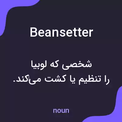 معنی beansetter به فارسی
