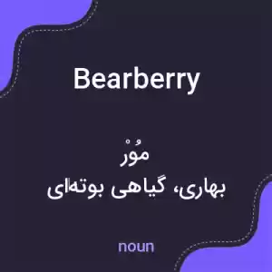 معنی bearberry به فارسی معنی bearberry به فارسی