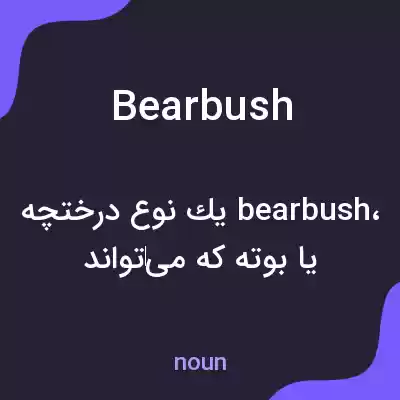 معنی bearbush به فارسی معنی bearbush به فارسی