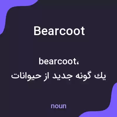 معنی bearcoot به فارسی معنی bearcoot به فارسی