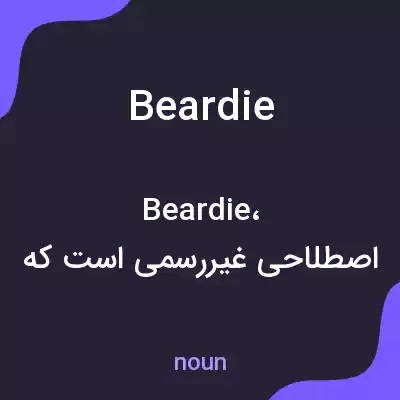 معنی beardie به فارسی معنی beardie به فارسی