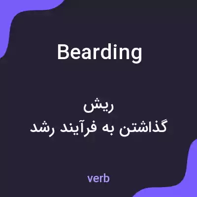 معنی bearding به فارسی معنی bearding به فارسی