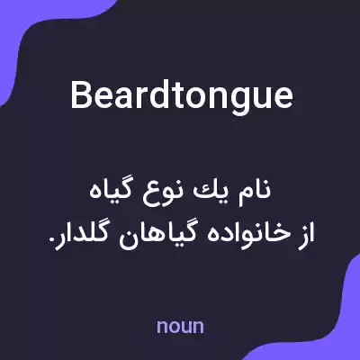 معنی beardtongue به فارسی معنی beardtongue به فارسی