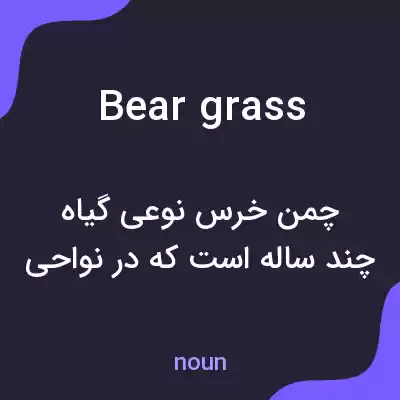 معنی bear grass به فارسی