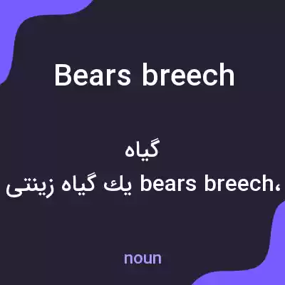 معنی bears breech به فارسی معنی bears breech به فارسی