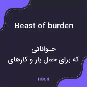 معنی beast of burden به فارسی معنی beast of burden به فارسی