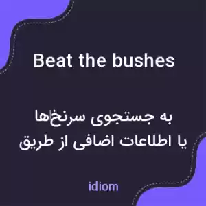 معنی beat the bushes به فارسی معنی beat the bushes به فارسی