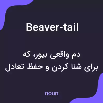 معنی beaver-tail به فارسی معنی beaver-tail به فارسی