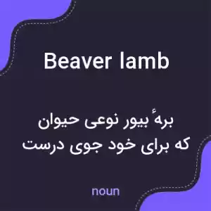 معنی beaver lamb به فارسی