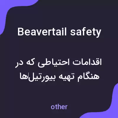 معنی beavertail safety به فارسی معنی beavertail safety به فارسی