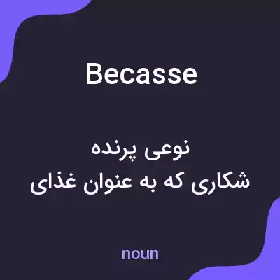 معنی becasse به فارسی معنی becasse به فارسی