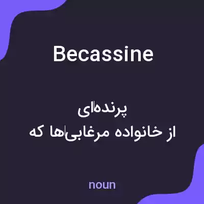 معنی becassine به فارسی معنی becassine به فارسی