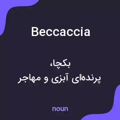 معنی beccaccia به فارسی معنی beccaccia به فارسی
