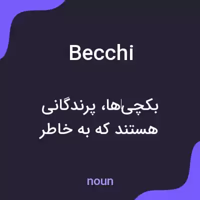 معنی becchi به فارسی معنی becchi به فارسی