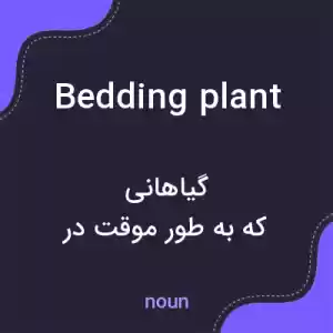 معنی bedding plant به فارسی معنی bedding plant به فارسی