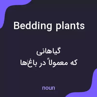 معنی bedding plants به فارسی